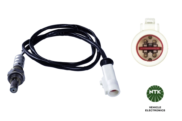 Oxygen Sensor