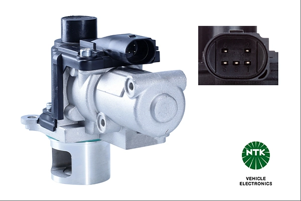 EGR Valve