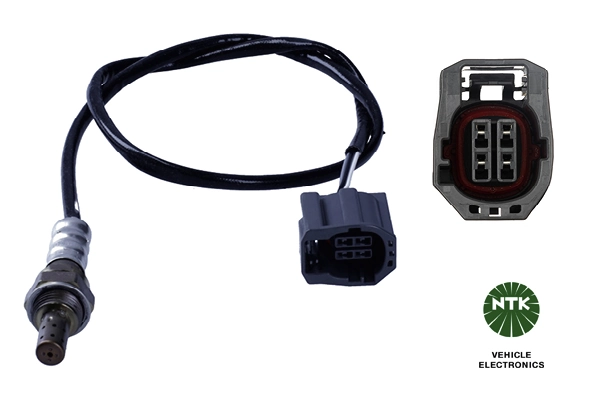 Oxygen Sensor