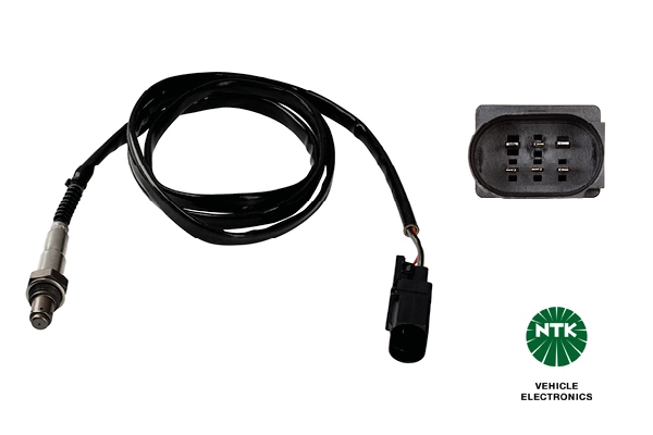 Oxygen Sensor