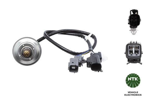 Oxygen Sensor