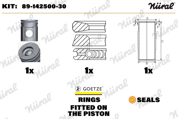 Repair Kit, piston/cylinder liner