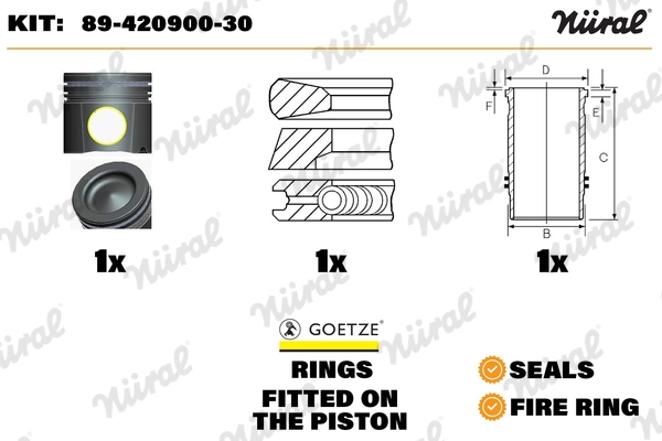 Repair Kit, piston/cylinder liner