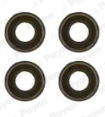 Seal Set, valve stem
