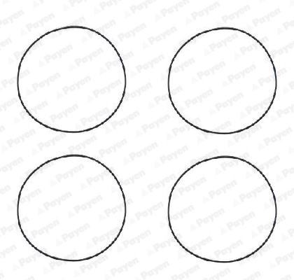 Gasket Set, cylinder liner