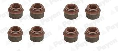 Seal Set, valve stem