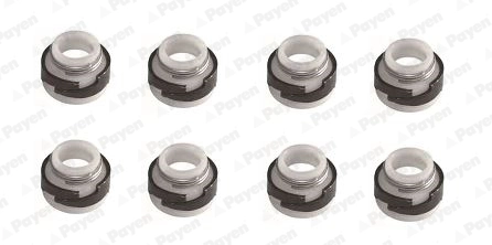 Seal Set, valve stem