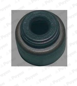 Seal Ring, valve stem
