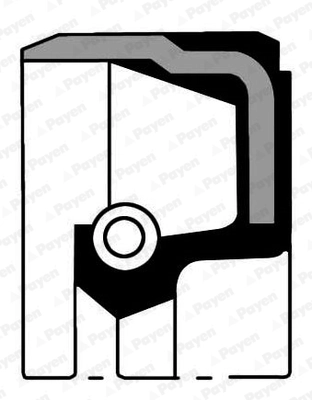 Shaft Seal, crankshaft