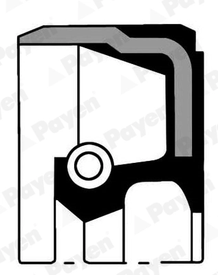 Shaft Seal, crankshaft