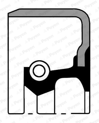 Shaft Seal, differential