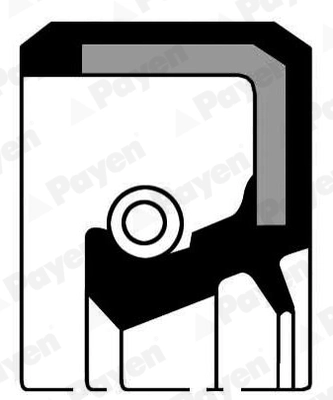 Shaft Seal, crankshaft