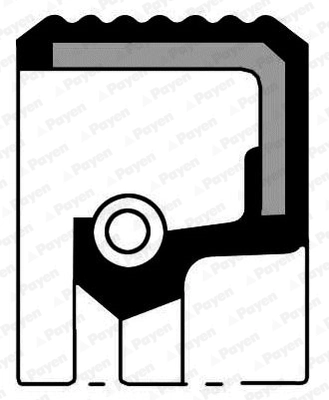 Shaft Seal, camshaft
