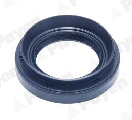 Shaft Seal, differential