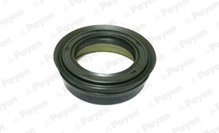 Shaft Seal, differential