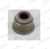 Seal Ring, valve stem