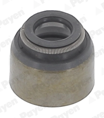 Seal Ring, valve stem