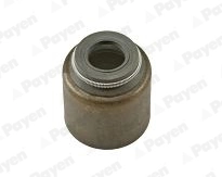 Seal Ring, valve stem