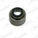 Seal Ring, valve stem