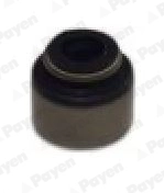 Seal Ring, valve stem