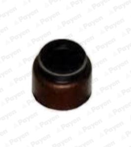 Seal Ring, valve stem