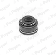 Seal Ring, valve stem