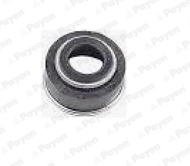 Seal Ring, valve stem