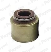 Seal Ring, valve stem