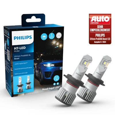 Bulb, spotlight