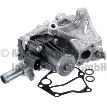 EGR Module