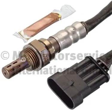 Oxygen Sensor