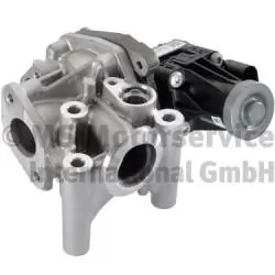 EGR Module