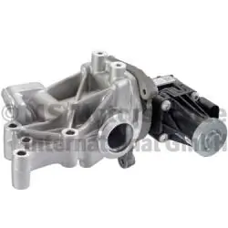 EGR Module