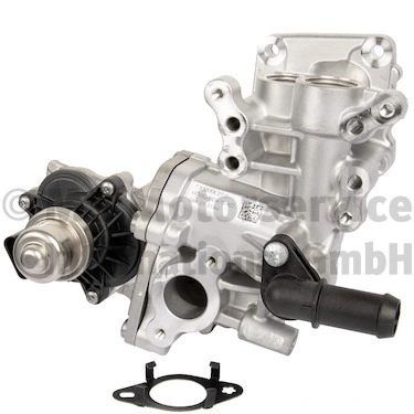 EGR Module