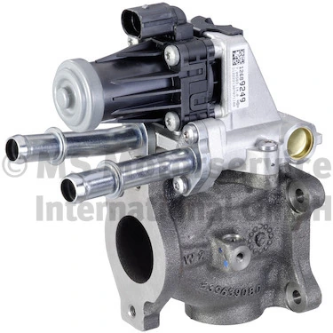 EGR Module