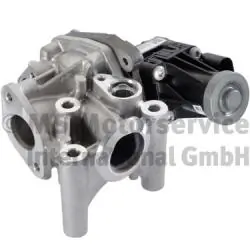 EGR Module
