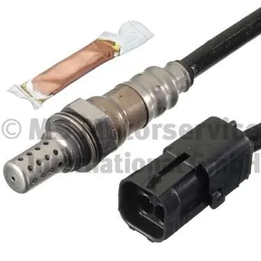 Oxygen Sensor
