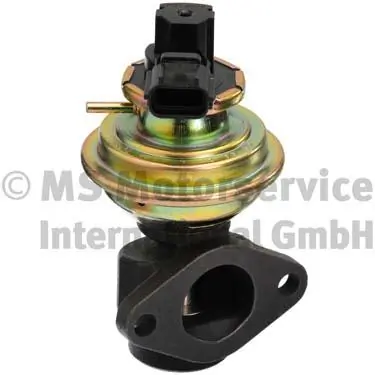 EGR Valve