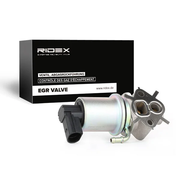 EGR Valve
