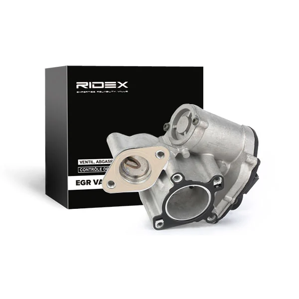 EGR Valve