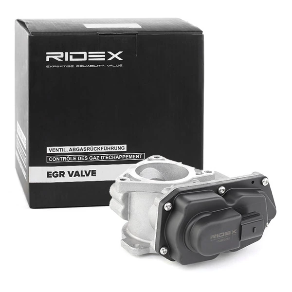 EGR Valve