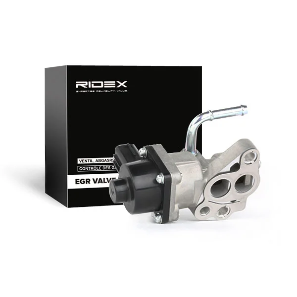 EGR Valve