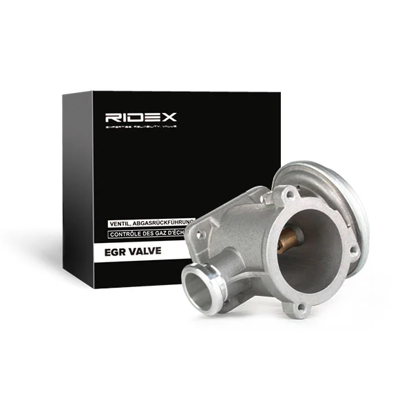 EGR Valve