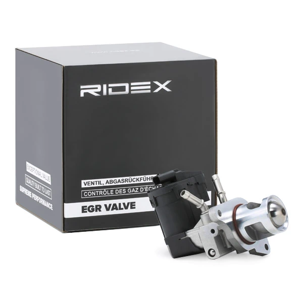EGR Valve
