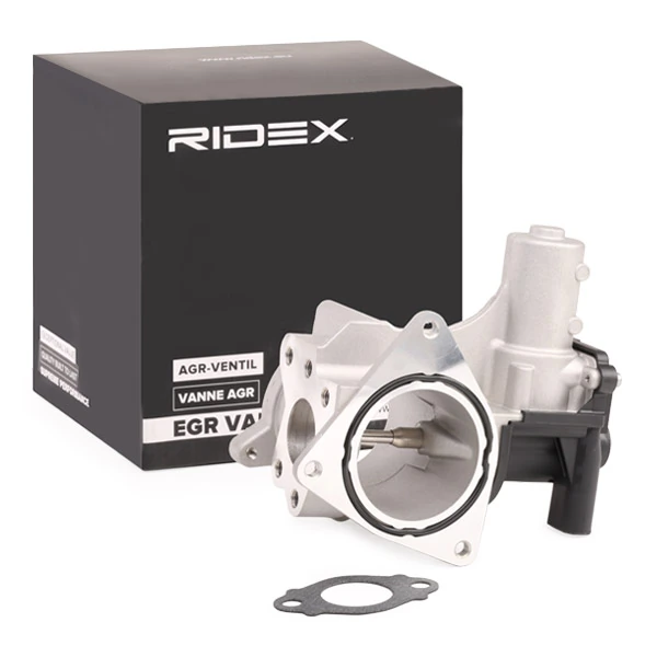 EGR Valve