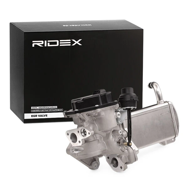 EGR Valve