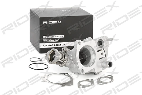 EGR Valve