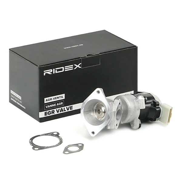 EGR Valve