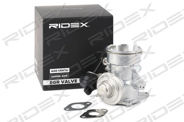 EGR Valve