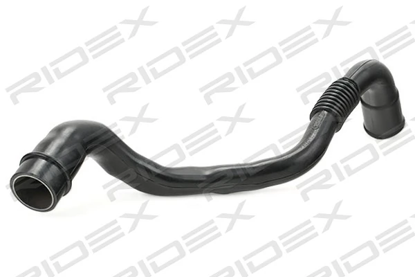 Hose, crankcase ventilation